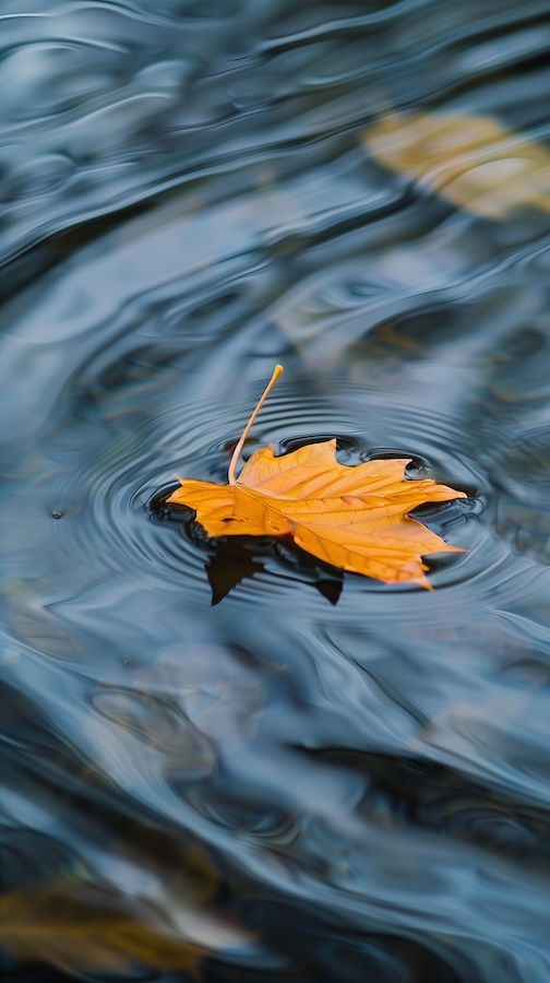 a-closeup-of-an-autumn-leaf-floating-on-the-surface-of-water