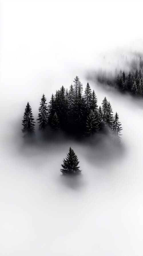 island-with-pine-trees-in-the-middle-surrounded-by-fog