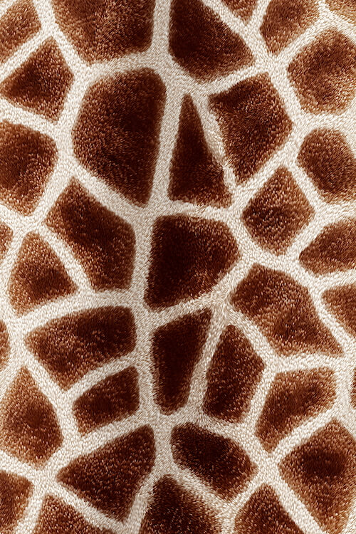 texture-and-pattern-on-giraffe-skin-showcasing-its-unique-patterns